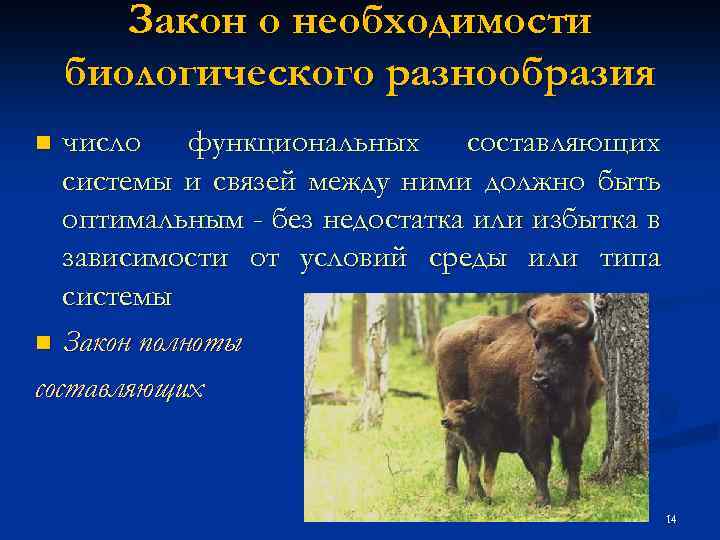 Закон о необходимости биологического разнообразия число функциональных составляющих системы и связей между ними должно