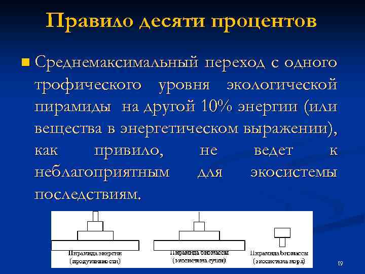 Правило десяти процентов n Среднемаксимальный переход с одного трофического уровня экологической пирамиды на другой