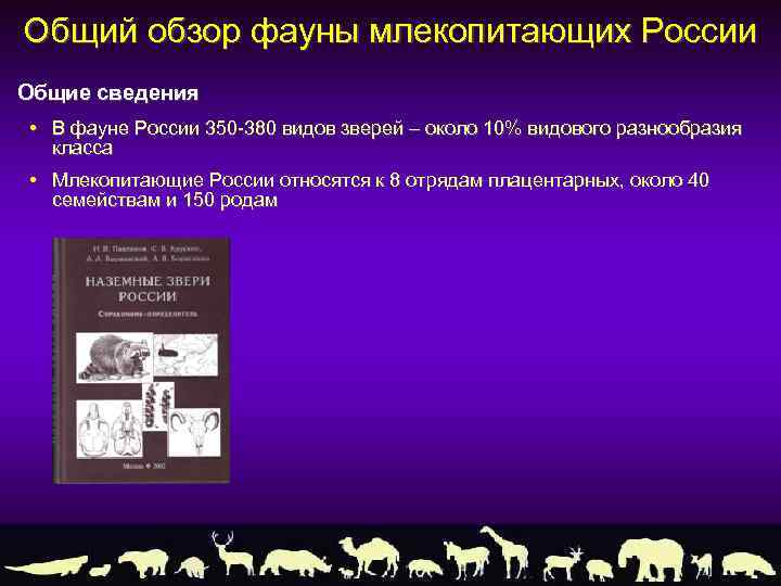 Общий обзор фауны млекопитающих России Общие сведения • В фауне России 350 -380 видов