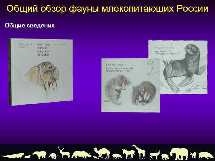 Общий обзор фауны млекопитающих России Общие сведения 