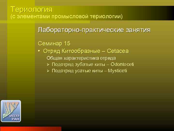 Териология (с элементами промысловой териологии) Лабораторно-практические занятия Семинар 15 • Отряд Китообразные – Cetacea
