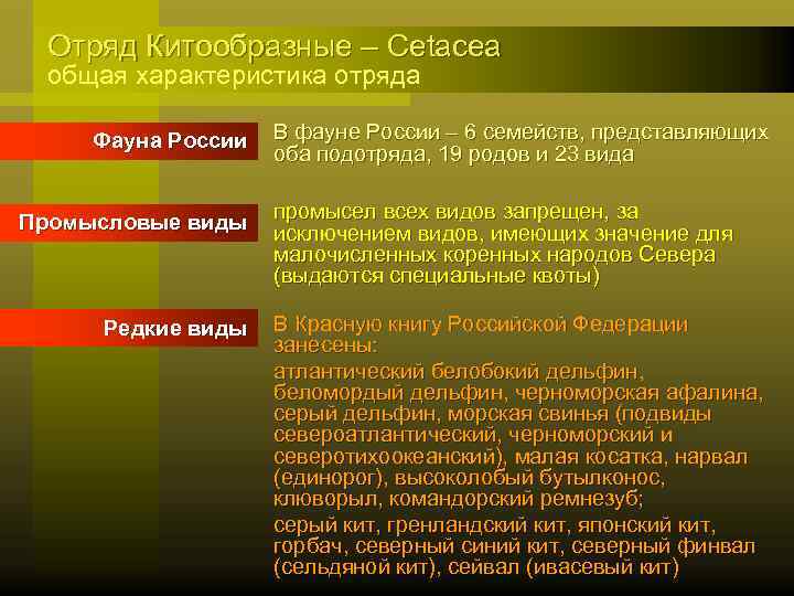 Отряд Китообразные – Cetacea общая характеристика отряда Фауна России Промысловые виды Редкие виды В