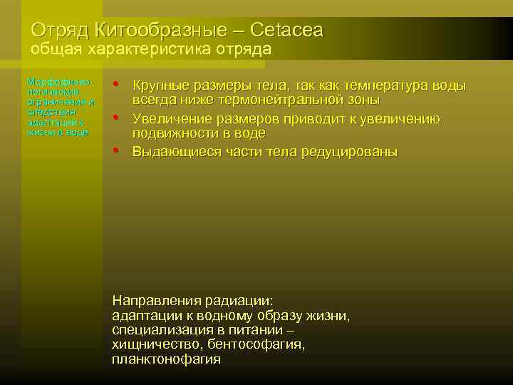 Отряд Китообразные – Cetacea общая характеристика отряда Морфофизиологические ограничения и следствия адаптаций к жизни