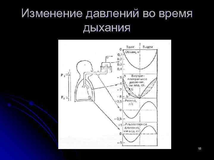 Изменение давлений во время дыхания 15 