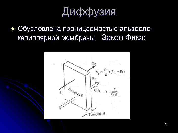 Диффузия фика. Закон фика физиология. Закон фика для диффузии. Закон фика физиология дыхания. Закон фика формула.