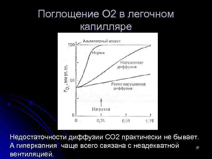 Поглощение О 2 в легочном капилляре Недостаточности диффузии СО 2 практически не бывает. А