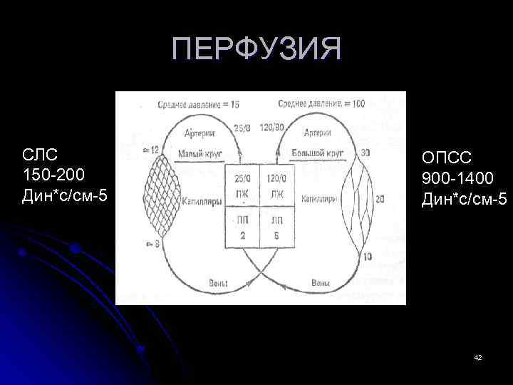 ПЕРФУЗИЯ СЛС 150 -200 Дин*с/см-5 ОПСС 900 -1400 Дин*с/см-5 42 