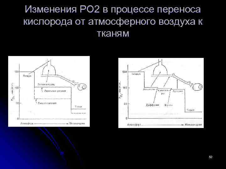 Изменения РО 2 в процессе переноса кислорода от атмосферного воздуха к тканям 52 