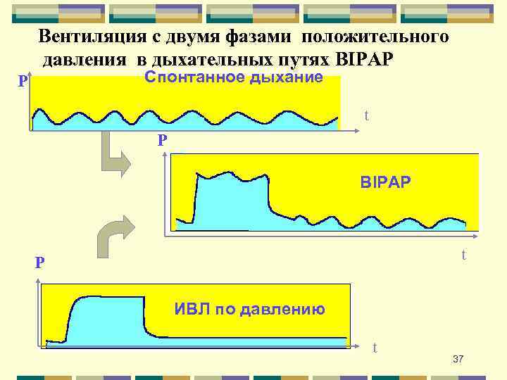 Вентиляция с двумя фазами положительного давления в дыхательных путях BIPAP Спонтанное дыхание P t