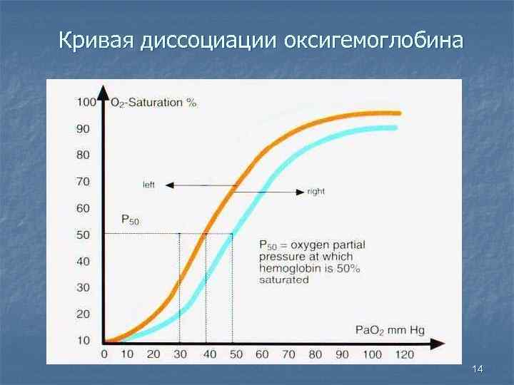 Кривая диссоциации оксигемоглобина 14 