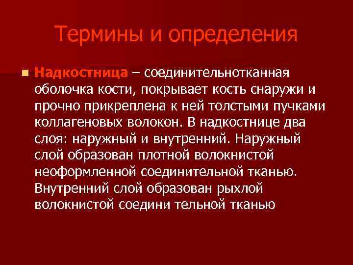  Термины и определения n Надкостница – соединительнотканная оболочка кости, покрывает кость снаружи и