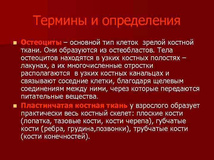  Термины и определения n Остеоциты – основной тип клеток зрелой костной ткани. Они