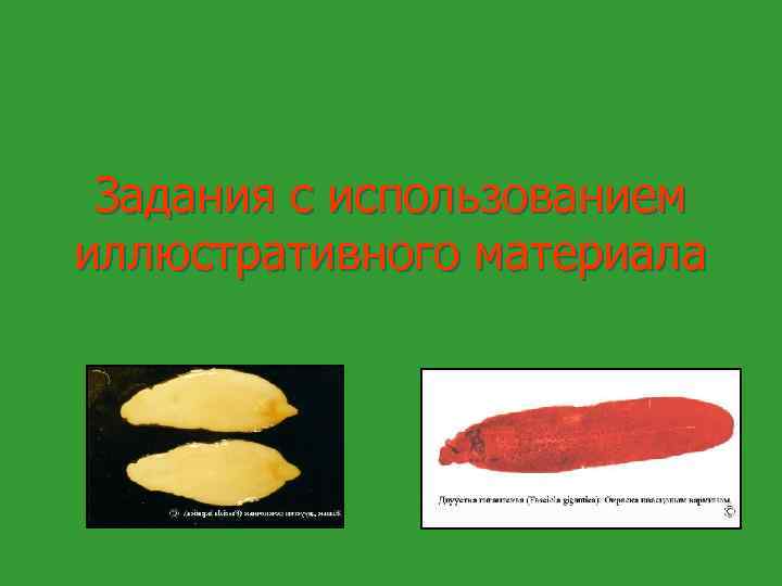Задания с использованием иллюстративного материала 