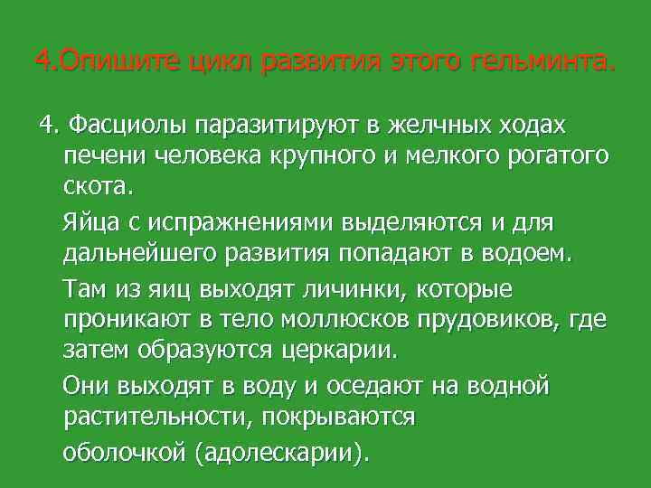 4. Опишите цикл развития этого гельминта. 4. Фасциолы паразитируют в желчных ходах печени человека