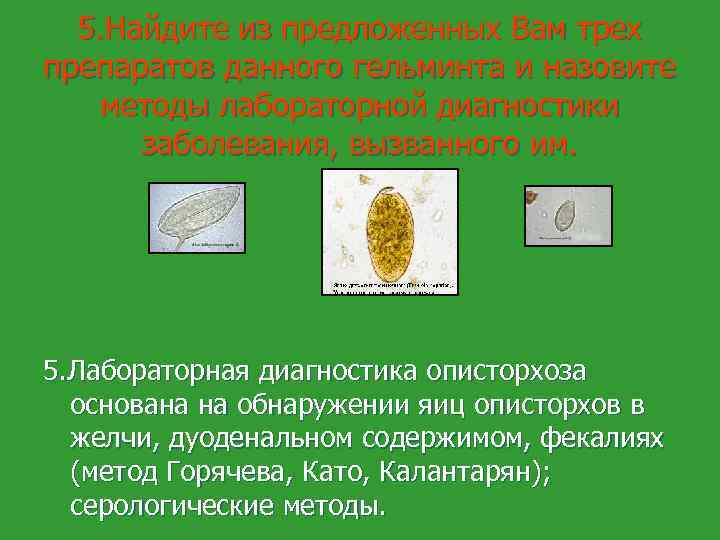 5. Найдите из предложенных Вам трех препаратов данного гельминта и назовите методы лабораторной диагностики