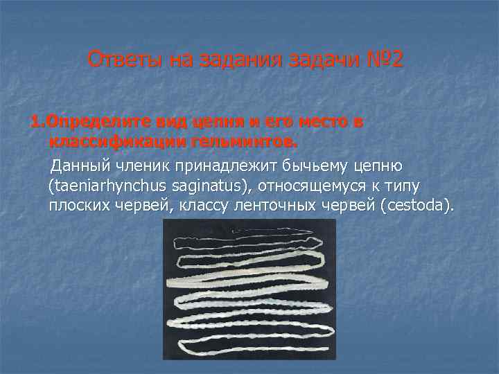 Ответы на задания задачи № 2 1. Определите вид цепня и его место в