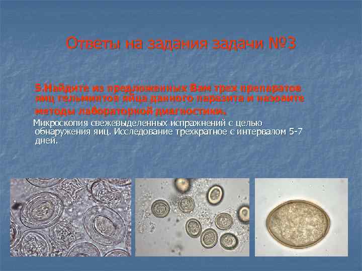 Ответы на задания задачи № 3 5. Найдите из предложенных Вам трех препаратов яиц
