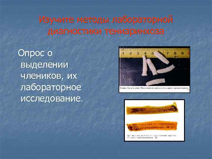 Изучите методы лабораторной диагностики тениаринхоза Опрос о выделении члеников, их лабораторное исследование. 