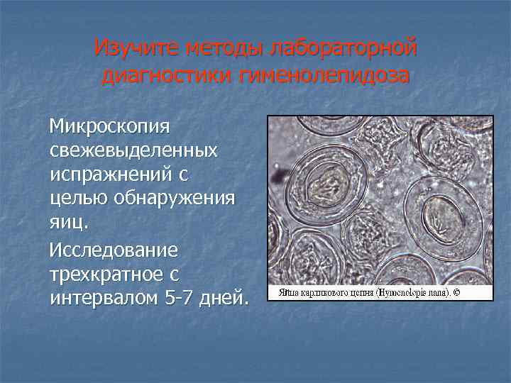 Изучите методы лабораторной диагностики гименолепидоза Микроскопия свежевыделенных испражнений с целью обнаружения яиц. Исследование трехкратное
