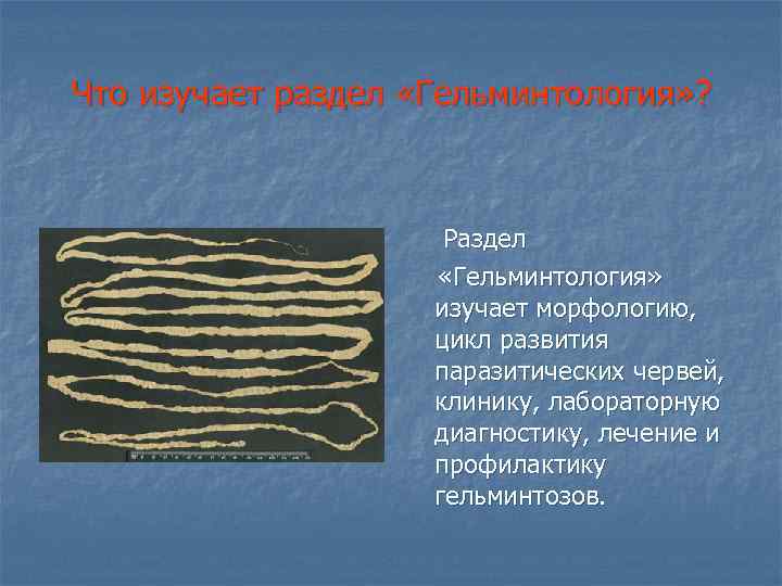 Что изучает раздел «Гельминтология» ? Раздел «Гельминтология» изучает морфологию, цикл развития паразитических червей, клинику,