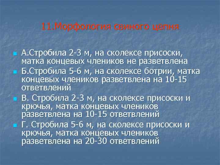 11. Морфология свиного цепня n n А. Стробила 2 -3 м, на сколексе присоски,