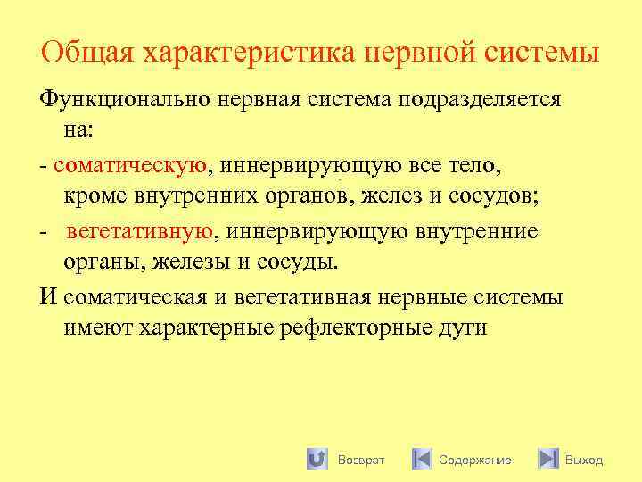 Общая характеристика нервной системы Функционально нервная система подразделяется на: - соматическую, иннервирующую все тело,