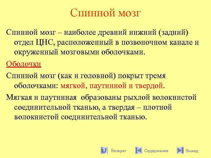 Спинной мозг – наиболее древний нижний (задний) отдел ЦНС, расположенный в позвоночном канале и