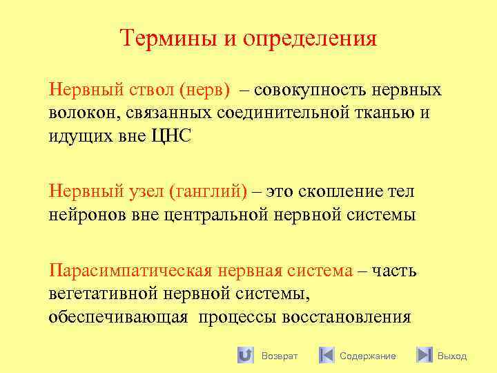 Термины и определения Нервный ствол (нерв) – совокупность нервных волокон, связанных соединительной тканью и