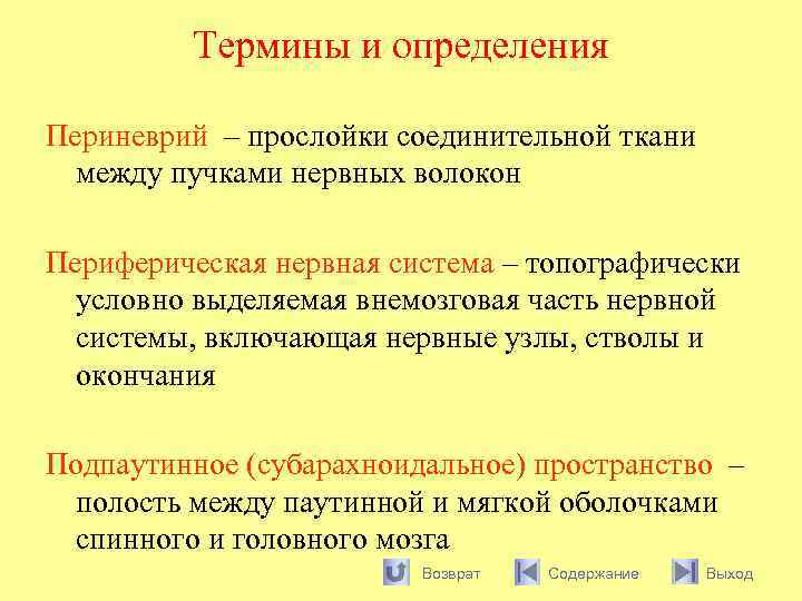 Термины и определения Периневрий – прослойки соединительной ткани между пучками нервных волокон Периферическая нервная