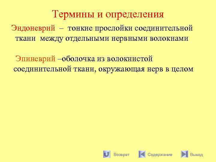 Термины и определения Эндоневрий – тонкие прослойки соединительной ткани между отдельными нервными волокнами Эпиневрий