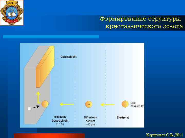 Формирование структуры кристаллического золота Харитонов С. В. , 2011 