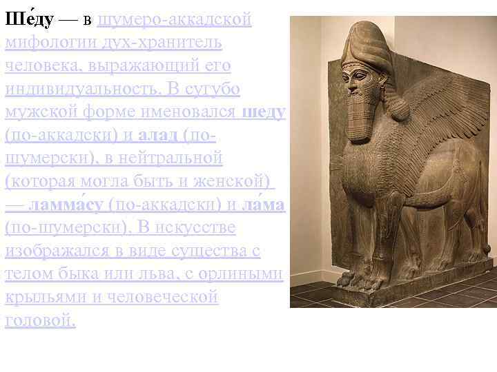 Ше ду — в шумеро-аккадской мифологии дух-хранитель человека, выражающий его индивидуальность. В сугубо мужской