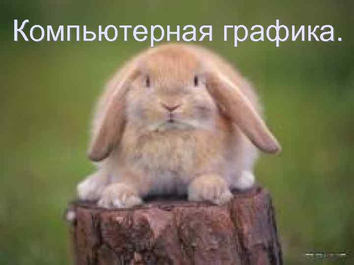  Компьютерная графика. 