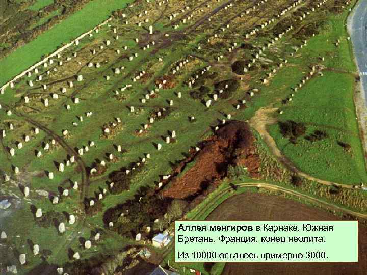 Аллея менгиров в Карнаке, Южная Бретань, Франция, конец неолита. Из 10000 осталось примерно 3000.