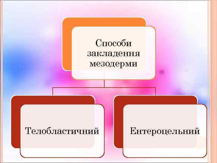 Способи закладення мезодерми Телобластичний Ентероцельний 