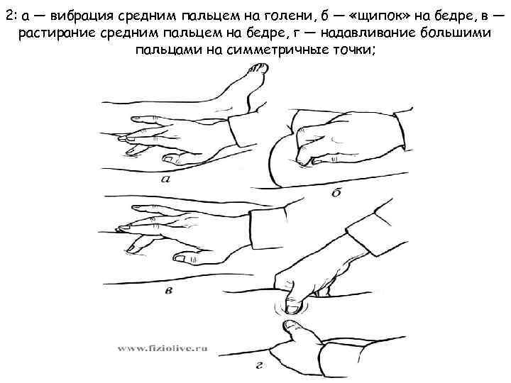 Точки пр. Точечная вибрация в массаже. Вибрации в среднем пальце. Надавливания пальцем на переднюю поверхность голени,.