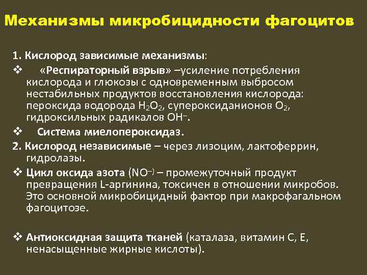 Механизмы микробицидности фагоцитов 1. Кислород зависимые механизмы: v «Респираторный взрыв» –усиление потребления кислорода и