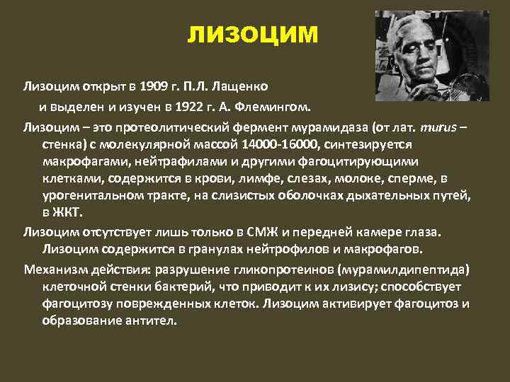 ЛИЗОЦИМ Лизоцим открыт в 1909 г. П. Л. Лащенко и выделен и изучен в