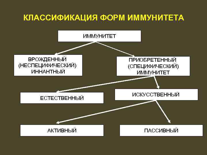 Классификация видов и форм иммунитета схема