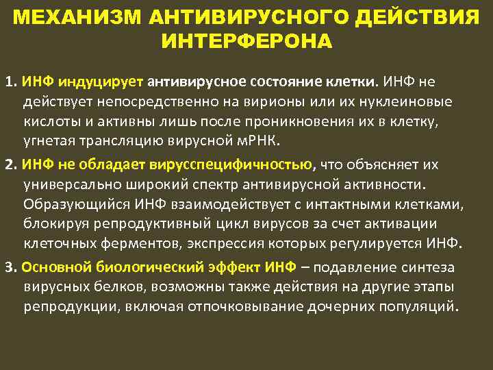 МЕХАНИЗМ АНТИВИРУСНОГО ДЕЙСТВИЯ ИНТЕРФЕРОНА 1. ИНФ индуцирует антивирусное состояние клетки. ИНФ не действует непосредственно