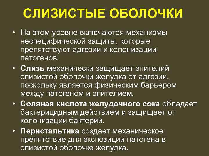 СЛИЗИСТЫЕ ОБОЛОЧКИ • На этом уровне включаются механизмы неспецифической защиты, которые препятствуют адгезии и