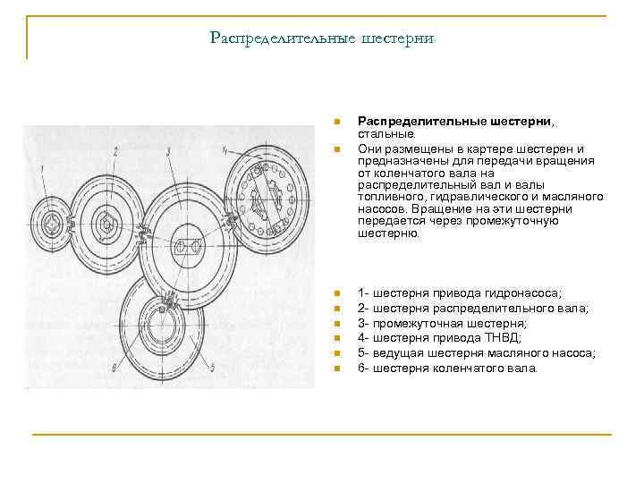 Распределительные шестерни n n n n Распределительные шестерни, стальные. Они размещены в картере шестерен