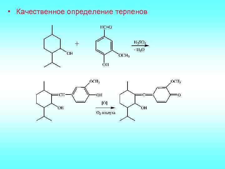 Презентация на тему терпены