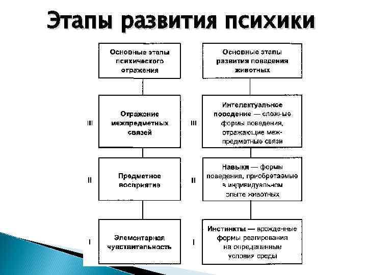 Функциональная структура психики