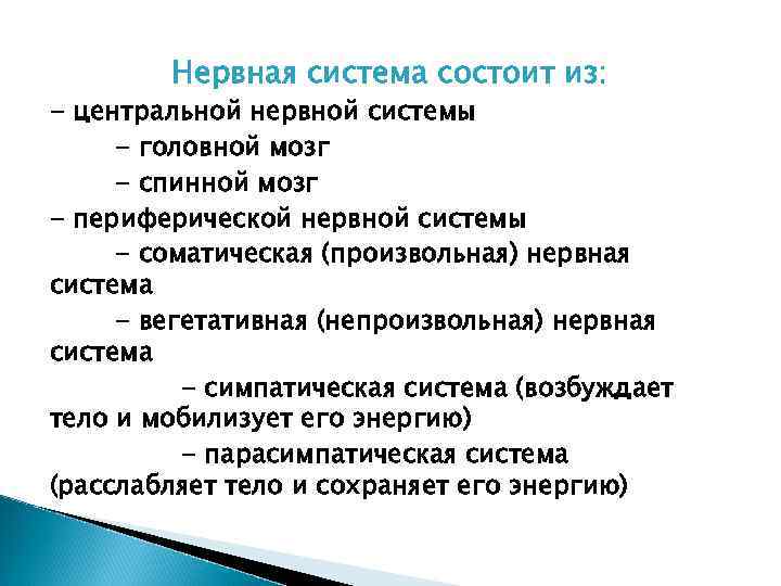 Нервная система состоит из: - центральной нервной системы - головной мозг - спинной мозг