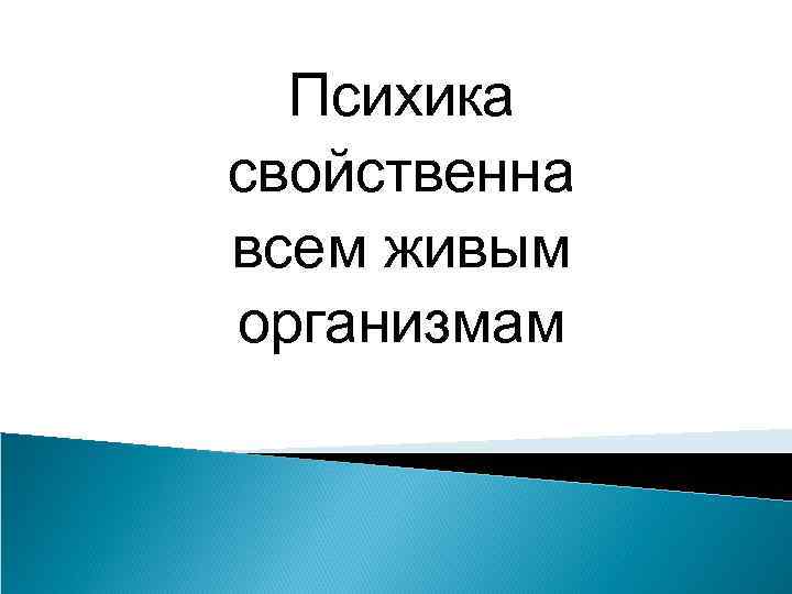 Психика свойственна всем живым организмам 