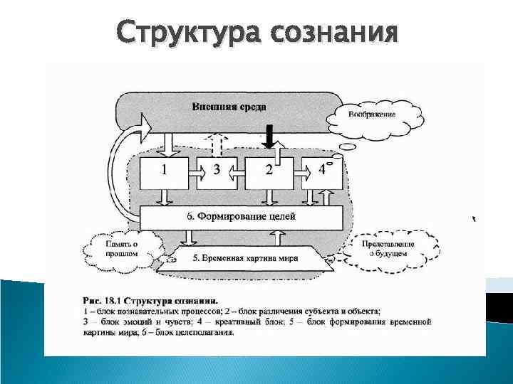 Структура сознания 
