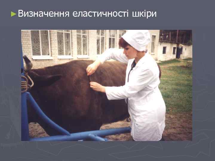 ► Визначення еластичності шкіри 