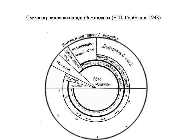 Схема строения мицеллы