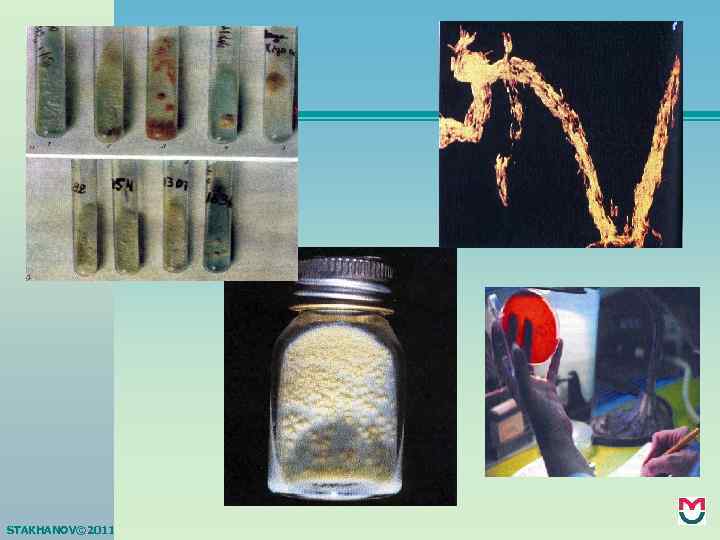 STAKHANOV© 2011 